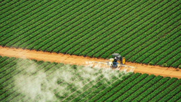 Best Pest Removal Services  in Loma Linda, CA